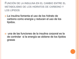 FUNCIÓN DE LA INSULINA EN EL CAMBIO ENTRE EL
METABOLISMO DE LOS HIDRATOS DE CARBONO Y
LOS LÍPIDOS


La insulina fomenta el uso de los hidrato de
carbono como energía y reducen el uso de los
lípidos.



una de las funciones de la insulina corporal es la
de controlar si la energía se obtiene de los lípidos
grasas

 