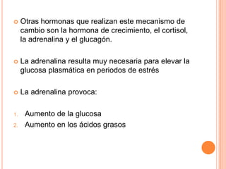 

Otras hormonas que realizan este mecanismo de
cambio son la hormona de crecimiento, el cortisol,
la adrenalina y el glucagón.



La adrenalina resulta muy necesaria para elevar la
glucosa plasmática en periodos de estrés



La adrenalina provoca:

1.

2.

Aumento de la glucosa
Aumento en los ácidos grasos

 