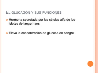 EL GLUCAGÓN Y SUS FUNCIONES


Hormona secretada por las células alfa de los
islotes de langerhans



Eleva la concentración de glucosa en sangre

 