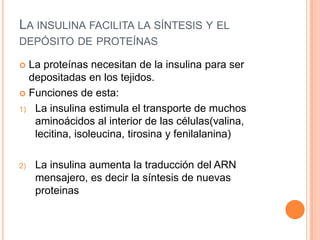 LA INSULINA FACILITA LA SÍNTESIS Y EL
DEPÓSITO DE PROTEÍNAS
La proteínas necesitan de la insulina para ser
depositadas en los tejidos.
 Funciones de esta:
1) La insulina estimula el transporte de muchos
aminoácidos al interior de las células(valina,
lecitina, isoleucina, tirosina y fenilalanina)


2)

La insulina aumenta la traducción del ARN
mensajero, es decir la síntesis de nuevas
proteinas

 