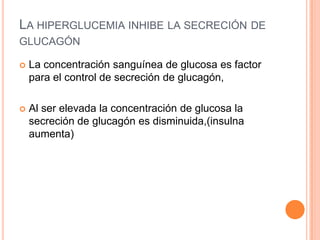 LA HIPERGLUCEMIA INHIBE LA SECRECIÓN DE
GLUCAGÓN


La concentración sanguínea de glucosa es factor
para el control de secreción de glucagón,



Al ser elevada la concentración de glucosa la
secreción de glucagón es disminuida,(insulna
aumenta)

 