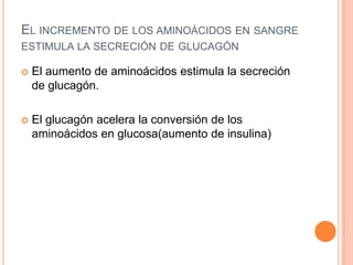 EL INCREMENTO DE LOS AMINOÁCIDOS EN SANGRE
ESTIMULA LA SECRECIÓN DE GLUCAGÓN


El aumento de aminoácidos estimula la secreción
de glucagón.



El glucagón acelera la conversión de los
aminoácidos en glucosa(aumento de insulina)

 