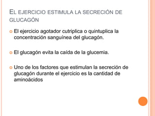 EL EJERCICIO ESTIMULA LA SECRECIÓN DE
GLUCAGÓN


El ejercicio agotador cutriplica o quintuplica la
concentración sanguínea del glucagón.



El glucagón evita la caída de la glucemia.



Uno de los factores que estimulan la secreción de
glucagón durante el ejercicio es la cantidad de
aminoácidos

 