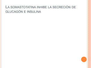 LA SOMASTOTATINA INHIBE LA SECRECIÓN DE
GLUCAGÓN E INSULINA

 