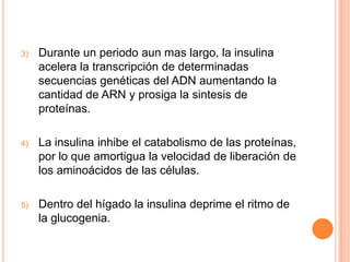 3)

Durante un periodo aun mas largo, la insulina
acelera la transcripción de determinadas
secuencias genéticas del ADN aumentando la
cantidad de ARN y prosiga la sintesis de
proteínas.

4)

La insulina inhibe el catabolismo de las proteínas,
por lo que amortigua la velocidad de liberación de
los aminoácidos de las células.

5)

Dentro del hígado la insulina deprime el ritmo de
la glucogenia.

 