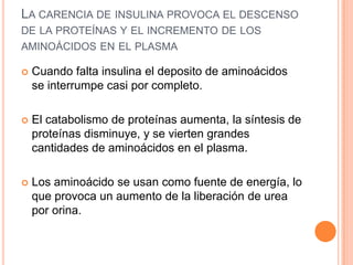 LA CARENCIA DE INSULINA PROVOCA EL DESCENSO
DE LA PROTEÍNAS Y EL INCREMENTO DE LOS
AMINOÁCIDOS EN EL PLASMA


Cuando falta insulina el deposito de aminoácidos
se interrumpe casi por completo.



El catabolismo de proteínas aumenta, la síntesis de
proteínas disminuye, y se vierten grandes
cantidades de aminoácidos en el plasma.



Los aminoácido se usan como fuente de energía, lo
que provoca un aumento de la liberación de urea
por orina.

 