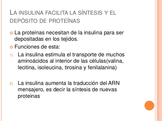 Efectos de la insulina sobre el metabolismo de Efectos de la insulina sobre el metabolismo de