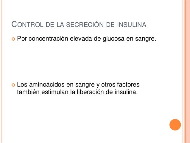 preguntas selectividad metabolismo resueltas seguir en este camino