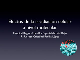 Efectos de la irradiación celular
       a nivel molecular
  Hospital Regional de Alta Especialidad del Bajío
        R1Rx José Cristóbal Padilla López
 