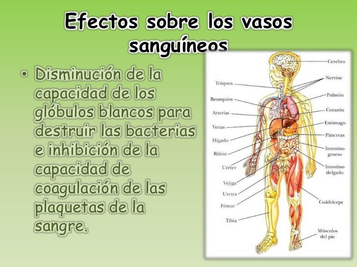 La clínica de la codificación del alcoholismo vladivostok