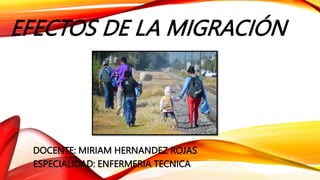 EFECTOS DE LA MIGRACIÓN
DOCENTE: MIRIAM HERNANDEZ ROJAS
ESPECIALIDAD: ENFERMERIA TECNICA
 
