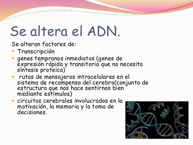 Cuanto Dura El Efecto Del Adiro