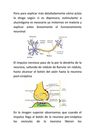 Pero para explicar más detalladamente cómo actúa
la droga según si es depresora, estimulante o
alucinógena es necesario ya meternos en materia y
explicar antes brevemente el funcionamiento
neuronal:
El impulso nervioso pasa de la por la dendrita de la
neurona, saltando de nódulo de Ranvier en nódulo,
hasta alcanzar el botón del axón hasta la neurona
post-sináptica
En la imagen superior observamos que cuando el
impulso llega al botón de la neurona pre-sináptica
las vesículas de la neurona liberan los
 