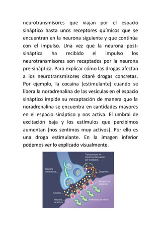 neurotransmisores que viajan por el espacio
sináptico hasta unos receptores químicos que se
encuentran en la neurona siguiente y que continúa
con el impulso. Una vez que la neurona post-
sináptica ha recibido el impulso los
neurotransmisores son recaptados por la neurona
pre-sináptica. Para explicar cómo las drogas afectan
a los neurotransmisores citaré drogas concretas.
Por ejemplo, la cocaína (estimulante) cuando se
libera la noradrenalina de las vesículas en el espacio
sináptico impide su recaptación de manera que la
noradrenalina se encuentra en cantidades mayores
en el espacio sináptico y nos activa. El umbral de
excitación baja y los estímulos que percibimos
aumentan (nos sentimos muy activos). Por ello es
una droga estimulante. En la imagen inferior
podemos ver lo explicado visualmente.
 