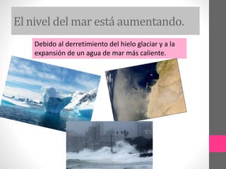 El nivel del mar está aumentando.
Debido al derretimiento del hielo glaciar y a la
expansión de un agua de mar más caliente.
 