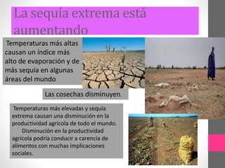 La sequía extrema está
aumentando
Temperaturas más altas
causan un índice más
alto de evaporación y de
más sequía en algunas
áreas del mundo
Las cosechas disminuyen.
Temperaturas más elevadas y sequía
extrema causan una disminución en la
productividad agricola de todo el mundo.
Disminución en la productividad
agrícola podría conducir a carencia de
alimentos con muchas implicaciones
sociales.
 