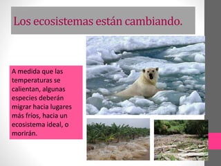 Los ecosistemas están cambiando.
A medida que las
temperaturas se
calientan, algunas
especies deberán
migrar hacia lugares
más fríos, hacia un
ecosistema ideal, o
morirán.
 