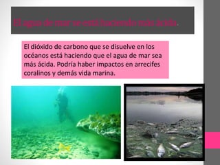 El agua de mar se está haciendomás ácida.
El dióxido de carbono que se disuelve en los
océanos está haciendo que el agua de mar sea
más ácida. Podría haber impactos en arrecifes
coralinos y demás vida marina.
 