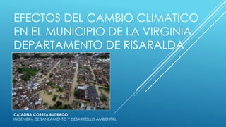 EFECTOS DEL CAMBIO CLIMATICO
EN EL MUNICIPIO DE LA VIRGINIA
DEPARTAMENTO DE RISARALDA
CATALINA CORREA BUITRAGO
INGENIERA DE SANEAMIENTO Y DESARROLLO AMBIENTAL
 