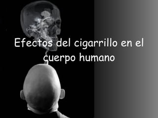 Efectos del cigarrillo en el cuerpo humano 