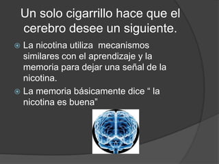 Un solo cigarrillo hace que el cerebro desee un siguiente.La nicotina utiliza  mecanismos similares con el aprendizaje y la memoria para dejar una señal de la nicotina.La memoria básicamente dice “ la nicotina es buena”