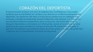 CORAZÓN DEL DEPORTISTA
El entrenamiento produce una serie de adaptaciones morfológicas y funcionales
cardíacas que se manifiestan en cambios muy diversos en el electrocardiograma del
deportista. Los trastornos del ritmo y la frecuencia cardíaca son los hallazgos más
comunes, y de ellos la bradicardia sinusal la alteración más habitual. Con frecuencia
encontramos trastornos inespecíficos de la conducción interventricular, pero los
bloqueos fasciculares y tronculares son infrecuentes, siendo el incompleto de rama
derecha el de mayor prevalencia. Aunque el intervalo PR puede estar alargado, la
aparición de bloqueos auriculoventriculares de primer grado y de segundo grado tipo
I depende de la susceptibilidad individual del deportista.
 