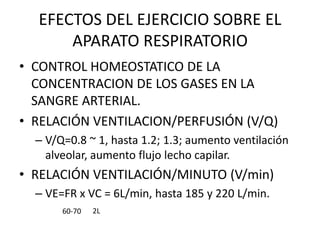 EFECTOS DEL EJERCICIO SOBRE EL
APARATO RESPIRATORIO
• CONTROL HOMEOSTATICO DE LA
CONCENTRACION DE LOS GASES EN LA
SANGRE ARTERIAL.
• RELACIÓN VENTILACION/PERFUSIÓN (V/Q)
– V/Q=0.8 ~ 1, hasta 1.2; 1.3; aumento ventilación
alveolar, aumento flujo lecho capilar.
• RELACIÓN VENTILACIÓN/MINUTO (V/min)
– VE=FR x VC = 6L/min, hasta 185 y 220 L/min.
60-70 2L
 