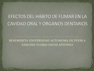 BENEMERITA UNIVERSIDAD AUTONOMA DE PUEBLA
      SANCHEZ FLORES DAVID ANTONIO
 