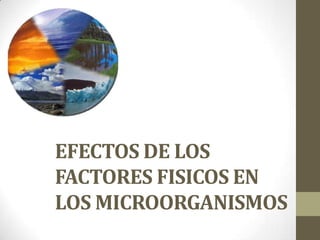 EFECTOS DE LOS
FACTORES FISICOS EN
LOS MICROORGANISMOS
 