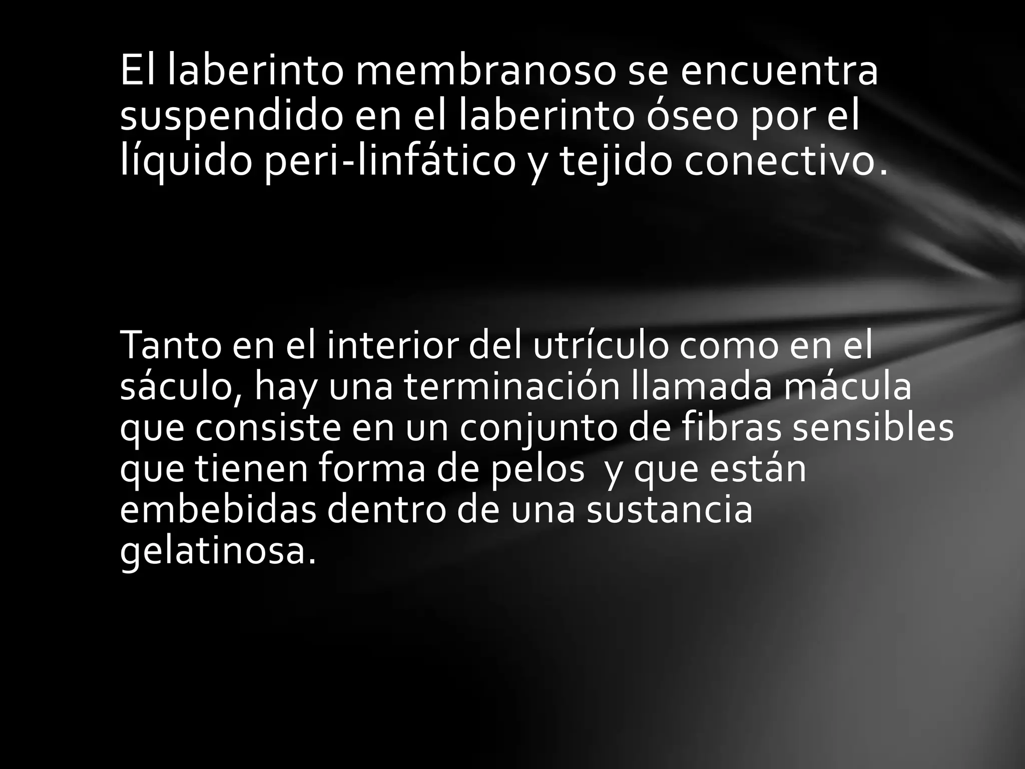 El laberinto membranoso se encuentra
suspendido en el laberinto óseo por el
líquido peri-linfático y tejido conectivo.

Tanto en el interior del utrículo como en el
sáculo, hay una terminación llamada mácula
que consiste en un conjunto de fibras sensibles
que tienen forma de pelos y que están
embebidas dentro de una sustancia
gelatinosa.

 