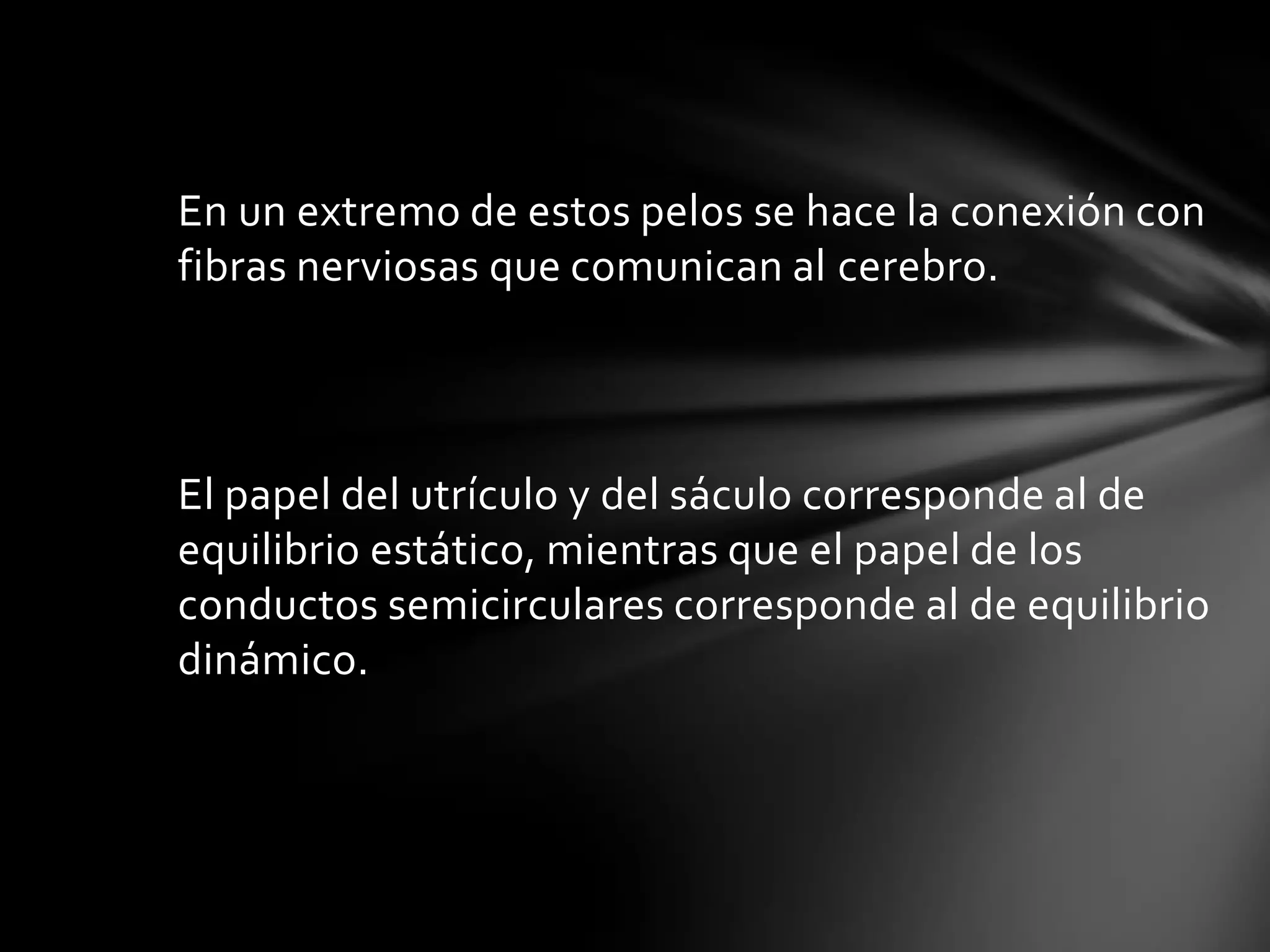 En un extremo de estos pelos se hace la conexión con
fibras nerviosas que comunican al cerebro.

El papel del utrículo y del sáculo corresponde al de
equilibrio estático, mientras que el papel de los
conductos semicirculares corresponde al de equilibrio
dinámico.

 