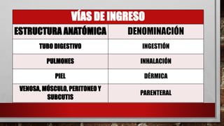 VÍAS DE INGRESO
ESTRUCTURA ANATÓMICA DENOMINACIÓN
TUBO DIGESTIVO INGESTIÓN
PULMONES INHALACIÓN
PIEL DÉRMICA
VENOSA, MÚSCULO, PERITONEO Y
SUBCUTIS
PARENTERAL
 