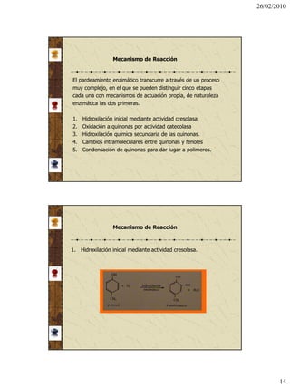 26/02/2010




                 Mecanismo de Reacción


El pardeamiento enzimático transcurre a través de un proceso
muy complejo, en el que se pueden distinguir cinco etapas
cada una con mecanismos de actuación propia, de naturaleza
enzimática las dos primeras.

1.   Hidroxilación inicial mediante actividad cresolasa
2.   Oxidación a quinonas por actividad catecolasa
3.   Hidroxilación química secundaria de las quinonas.
4.   Cambios intramoleculares entre quinonas y fenoles
5.   Condensación de quinonas para dar lugar a polimeros.




                 Mecanismo de Reacción



1. Hidroxilación inicial mediante actividad cresolasa.




                                                                      14
 