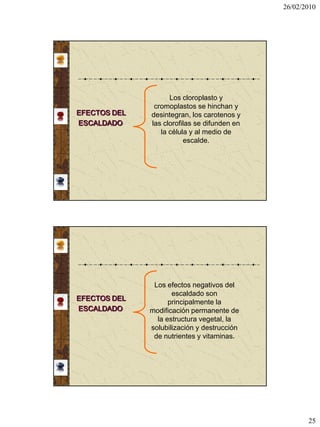 26/02/2010




                    Los cloroplasto y
               cromoplastos se hinchan y
EFECTOS DEL   desintegran, los carotenos y
ESCALDADO     las clorofilas se difunden en
                 la célula y al medio de
                         escalde.




               Los efectos negativos del
                     escaldado son
EFECTOS DEL
                    principalmente la
ESCALDADO     modificación permanente de
                la estructura vegetal, la
              solubilización y destrucción
               de nutrientes y vitaminas.




                                                     25
 