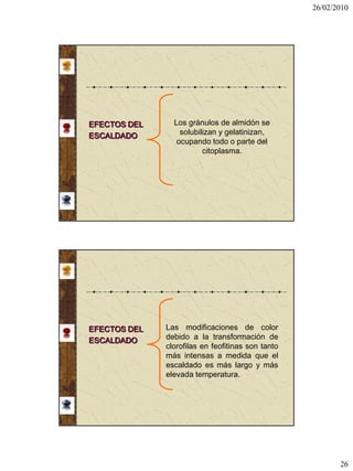26/02/2010




EFECTOS DEL     Los gránulos de almidón se
ESCALDADO         solubilizan y gelatinizan,
                 ocupando todo o parte del
                         citoplasma.




EFECTOS DEL   Las modificaciones de color
ESCALDADO     debido a la transformación de
              clorofilas en feofitinas son tanto
              más intensas a medida que el
              escaldado es más largo y más
              elevada temperatura.




                                                          26
 