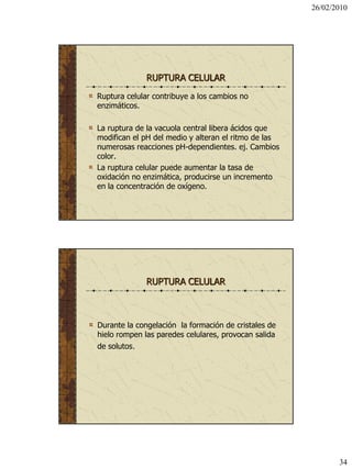 26/02/2010




              RUPTURA CELULAR
Ruptura celular contribuye a los cambios no
enzimáticos.

La ruptura de la vacuola central libera ácidos que
modifican el pH del medio y alteran el ritmo de las
numerosas reacciones pH-dependientes. ej. Cambios
color.
La ruptura celular puede aumentar la tasa de
oxidación no enzimática, producirse un incremento
en la concentración de oxígeno.




              RUPTURA CELULAR



Durante la congelación la formación de cristales de
hielo rompen las paredes celulares, provocan salida
de solutos.




                                                             34
 