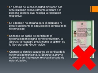  La pérdida de la nacionalidad mexicana por
naturalización exclusivamente afectará a la
persona sobre la cual recaiga la resolución
respectiva.
 La adopción no entraña para el adoptado ni
para el adoptante la adquisición o pérdida de la
nacionalidad.
 En todos los casos de pérdida de la
nacionalidad mexicana por naturalización, la
Secretaría recabará previamente la opinión de
la Secretaría de Gobernación.
 Cuando se den los supuestos de pérdida de la
nacionalidad mexicana, la Secretaría, previa
audiencia del interesado, revocará la carta de
naturalización.

 