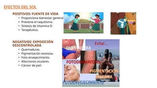 EFECTOS NOCIVOS PARA LA SALUD POR LA EXPOSICIÓN PROLONGADA A LA ...