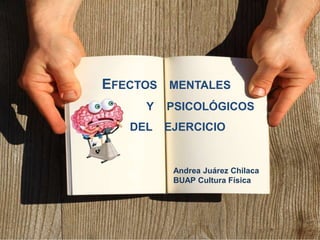 EFECTOS MENTALES
PSICOLÓGICOSY
DEL EJERCICIO
Andrea Juárez Chilaca
BUAP Cultura Física
 