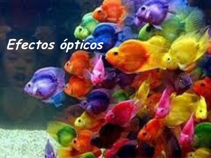 Efectos ópticos Efectos ópticos