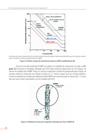 Las líneas de trazos representan los niveles medios de estimulación adversa producidos por los campos magné-
ticos. Las líneas continuas representan los MPEs
Figura 5.2 Niveles medios de estimulación adversa y MPEs (modiﬁcada de [8])
Para el caso del estándar ICNIRP, se utiliza un modelo de inducción circular. La Fi-
gura 5.3 muestra el modelo utilizado por ICES para toda la exposición en el cuerpo, así
como el modelo de ICNIRP. Para un campo magnético uniforme perpendicular al lazo, el
campo máximo inducido en el lazo circular es 1.7 veces mayor que en el lazo elíptico.
Como resultado,los niveles de referenciade ICNIRPson menorespor un factorde 1.7 veces
que los que serían calculados con el modelo de ICES.
Figura 5.3 Modelos de inducción magnética utilizados por ICES e ICNIRP [8]
82
Efectos sobre la salud humana de los campos eléctricos y magnéticos ELF
 