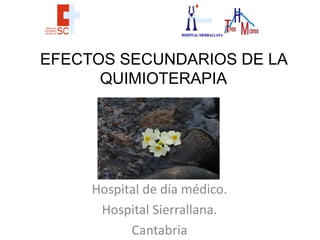 HOSPITAL SIERRALLANA

EFECTOS SECUNDARIOS DE LA
QUIMIOTERAPIA

Hospital de día médico.
Hospital Sierrallana.
Cantabria

 