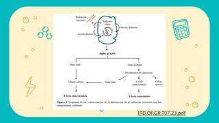 IRD.OP.GR.T07.23.pdf
 