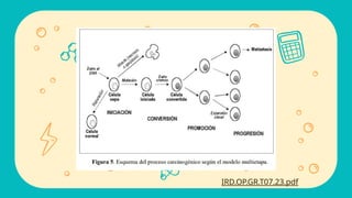 IRD.OP.GR.T07.23.pdf
 
