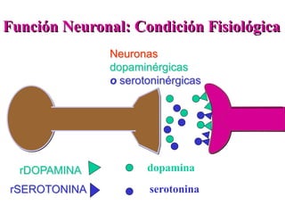 Función Neuronal: Condición Fisiológica
rDOPAMINA
rSEROTONINA
dopamina
serotonina
Neuronas
dopaminérgicas
o serotoninérgicas
 