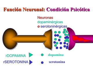 Función Neuronal: Condición Psicótica
rDOPAMINA
rSEROTONINA
dopamina
serotonina
Neuronas
dopaminérgicas
o serotoninérgicas
 