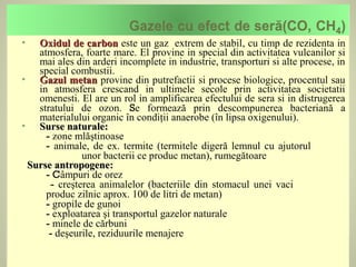    Oxidul de carbon este un gaz extrem de stabil, cu timp de rezidenta in
    atmosfera, foarte mare. El provine in special din activitatea vulcanilor si
    mai ales din arderi incomplete in industrie, transporturi si alte procese, in
    special combustii.
   Gazul metan provine din putrefactii si procese biologice, procentul sau
    in atmosfera crescand in ultimele secole prin activitatea societatii
    omenesti. El are un rol in amplificarea efectului de sera si in distrugerea
    stratului de ozon. Se formează prin descompunerea bacteriană a
    materialului organic în condiţii anaerobe (în lipsa oxigenului).
   Surse naturale:
      - zone mlăştinoase
      - animale, de ex. termite (termitele digeră lemnul cu ajutorul
               unor bacterii ce produc metan), rumegătoare
  Surse antropogene:
      - Câmpuri de orez
       - creşterea animalelor (bacteriile din stomacul unei vaci
      produc zilnic aprox. 100 de litri de metan)
      - gropile de gunoi
      - exploatarea şi transportul gazelor naturale
      - minele de cărbuni
       - deşeurile, reziduurile menajere
 