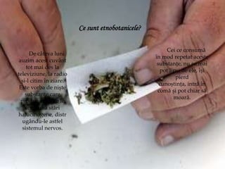 Ce sunt etnobotanicele?

•
                                                            Cei ce consumă
          De câteva luni
                                                       în mod repetat aceste
    auzim acest cuvânt
                                                        substanțe, nu se mai
        tot mai des la
                                                         pot lipsi de ele, își
    televiziune, la radio
                                                                pierd
      și-l citim în ziare.
                                                         cunoștința, intră în
     Este vorba de niște
                                                        comă și pot chiar să
        substanțe care
                                                               moară.
     produc celor ce le
        consumă stări
    halucinogene, distr
       ugându-le astfel
      sistemul nervos.
 