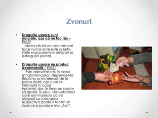 Zvonuri
•   Drogurile uşoare sunt
    naturale, aşa că nu fac rău –
    FALS!
      Ideea că tot ce este natural
    face numai bine este greşită.
    Cele mai puternice otrăvuri se
    extrag din plante.

•   Drogurile uşoare nu produc
    dependenţă – FALS!
        Este adevărat că, în cazul
    etnobotanicelor, dependenţa
    fizică nu se instalează de la
    prima doză, aşa cum se
    întâmplă în cazul
    heroinei, dar, în timp ea poate
    să apară. În plus, consumatorul
    care are impresia că s-a
    obişnuit cu substanţa
    respectivă poate fi tentat să
    încerce şi produse mai „tari”.
 