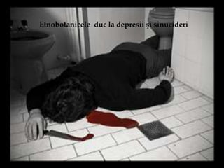 Etnobotanicele duc la depresii şi sinucideri
 